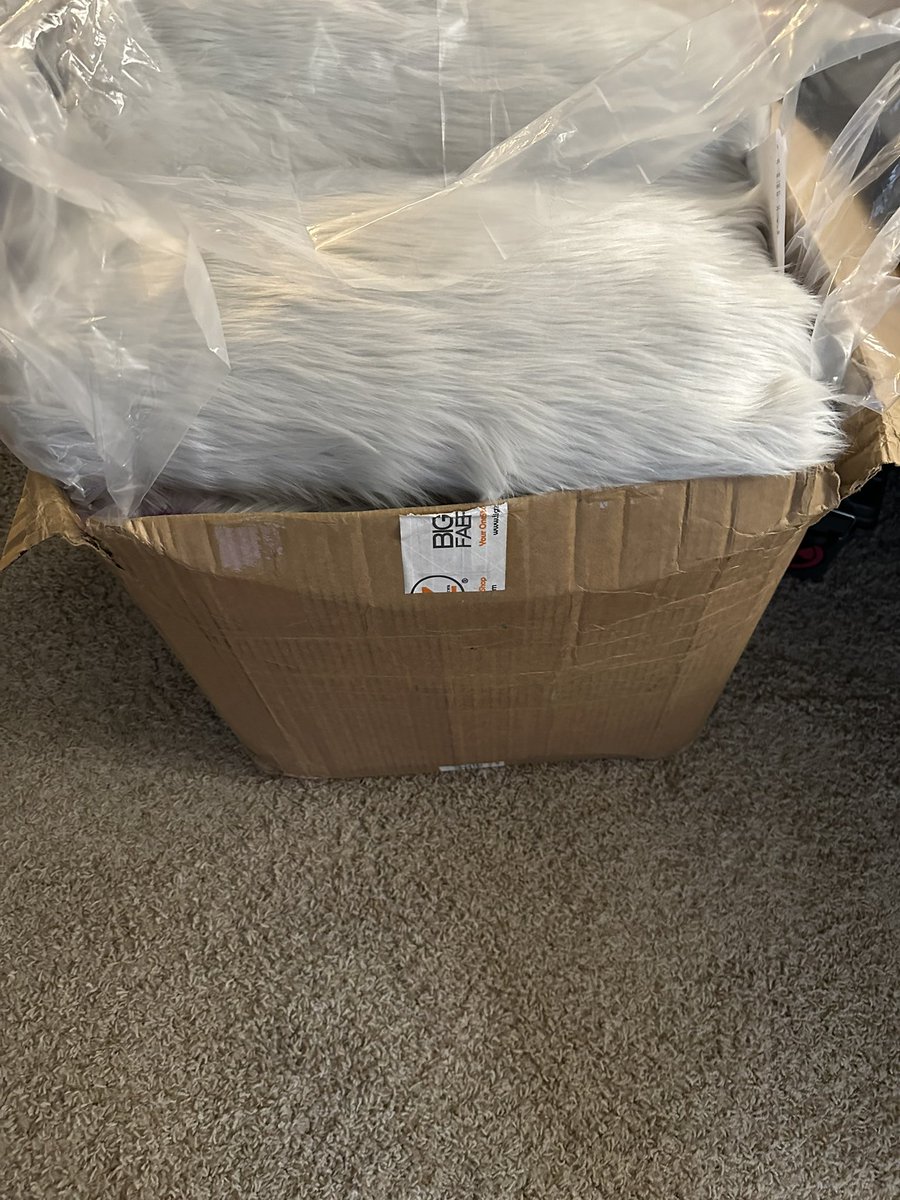 Pattycaeks_AD's tweet photo. This is one weird box of cake mix https://t.co/xe95m1Ihab
