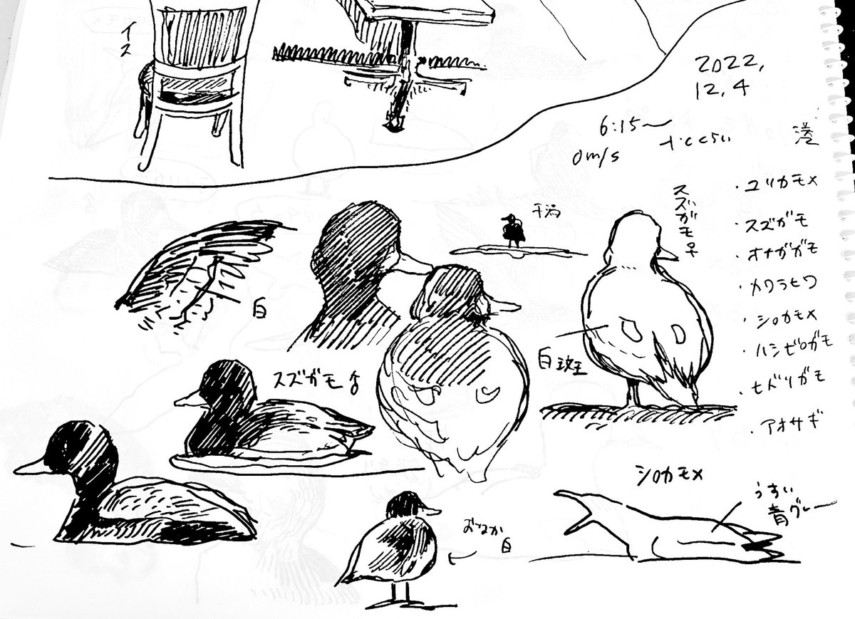 スケッチ 