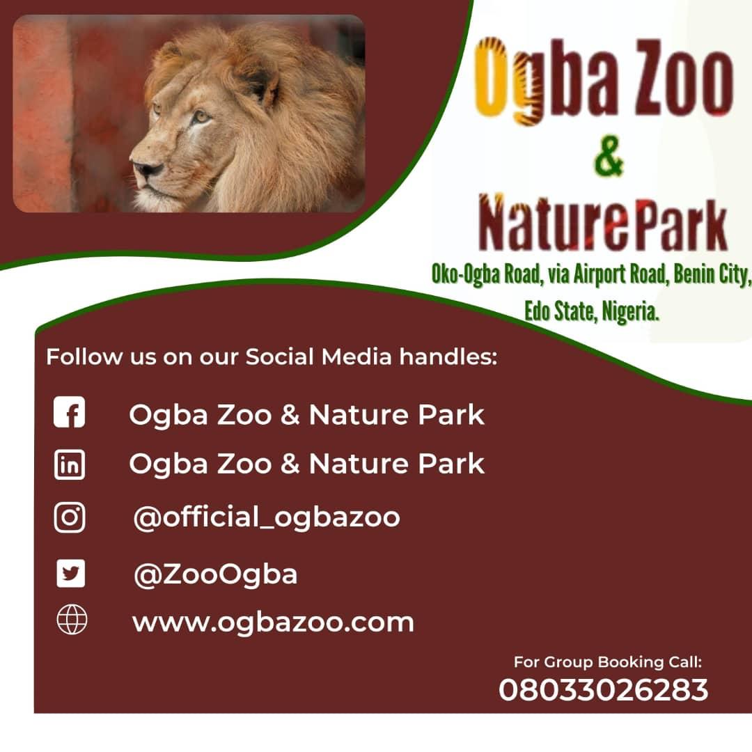 ZooOgba's tweet photo. Follow our Social Media Platforms! https://t.co/24oWmvu4Jk