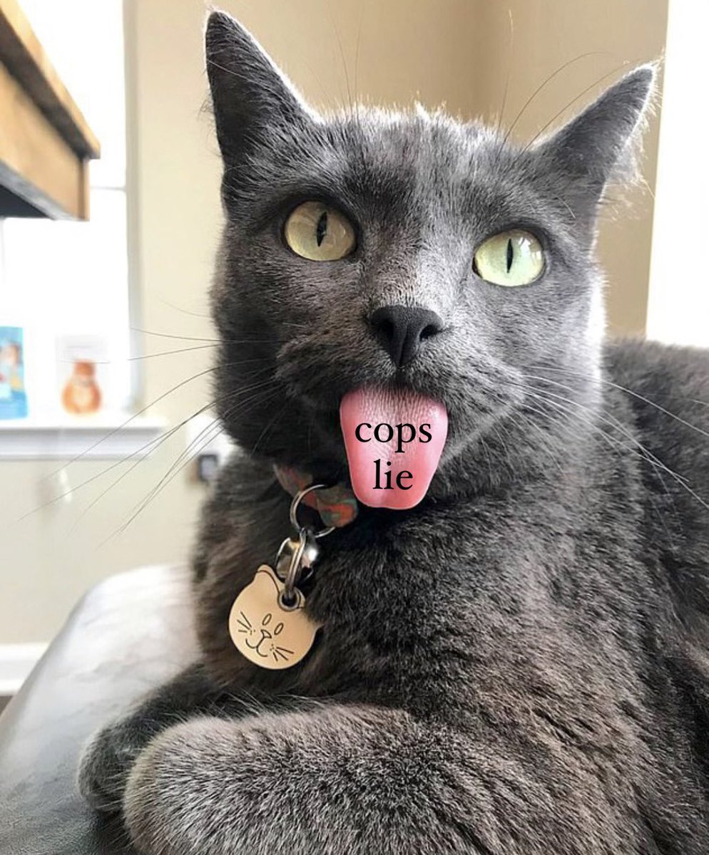 Feminist Flag Corps tweet media