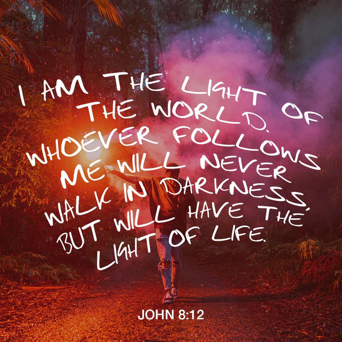 When Jesus spoke again to the people, he said, “I am the light of the world. Whoever follows me will never walk in darkness, but will have the light of life.”
John 8:12 NIV

john.bible/john-8-12