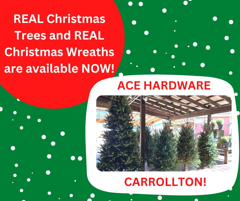 Ace_SouthernHG's tweet photo. Have you come by to see our REAL Christmas Trees and REAL Christmas Wreaths? Come by today and grab your tree and/or wreath today!

We can't wait to help you at Ace The Helpful Place! https://t.co/50E7U2CIfs