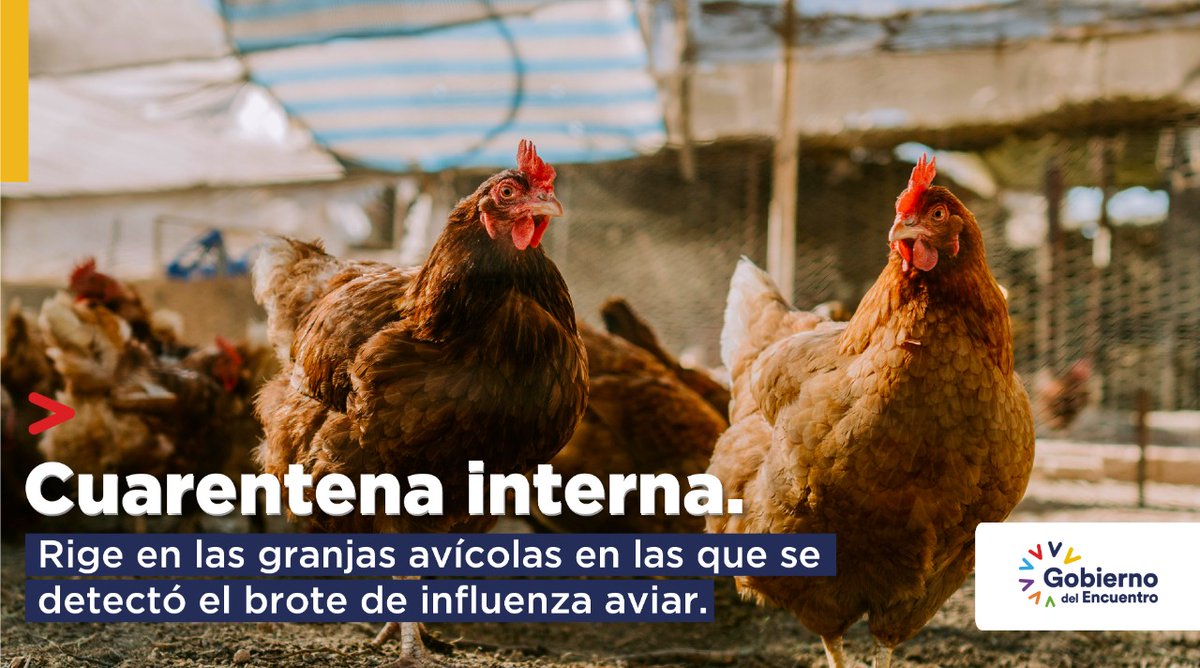 AgriculturaEc's tweet photo. Para mantener a Ecuador #SinInfluenzaAviar, técnicos de @AgrocalidadEc vigilan y controlan permanentemente la zona del cerco epidemiológico, como dispone la declaratoria de emergencia zoosanitaria. https://t.co/wpTcILePNn