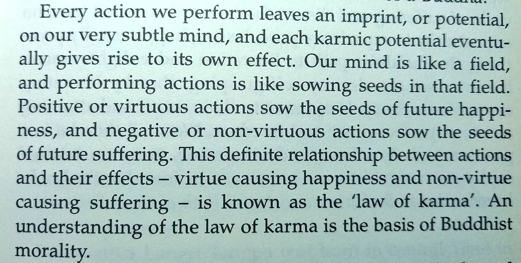 .Karma, Virtue and Buddhist Morality
#buddhism #budismo