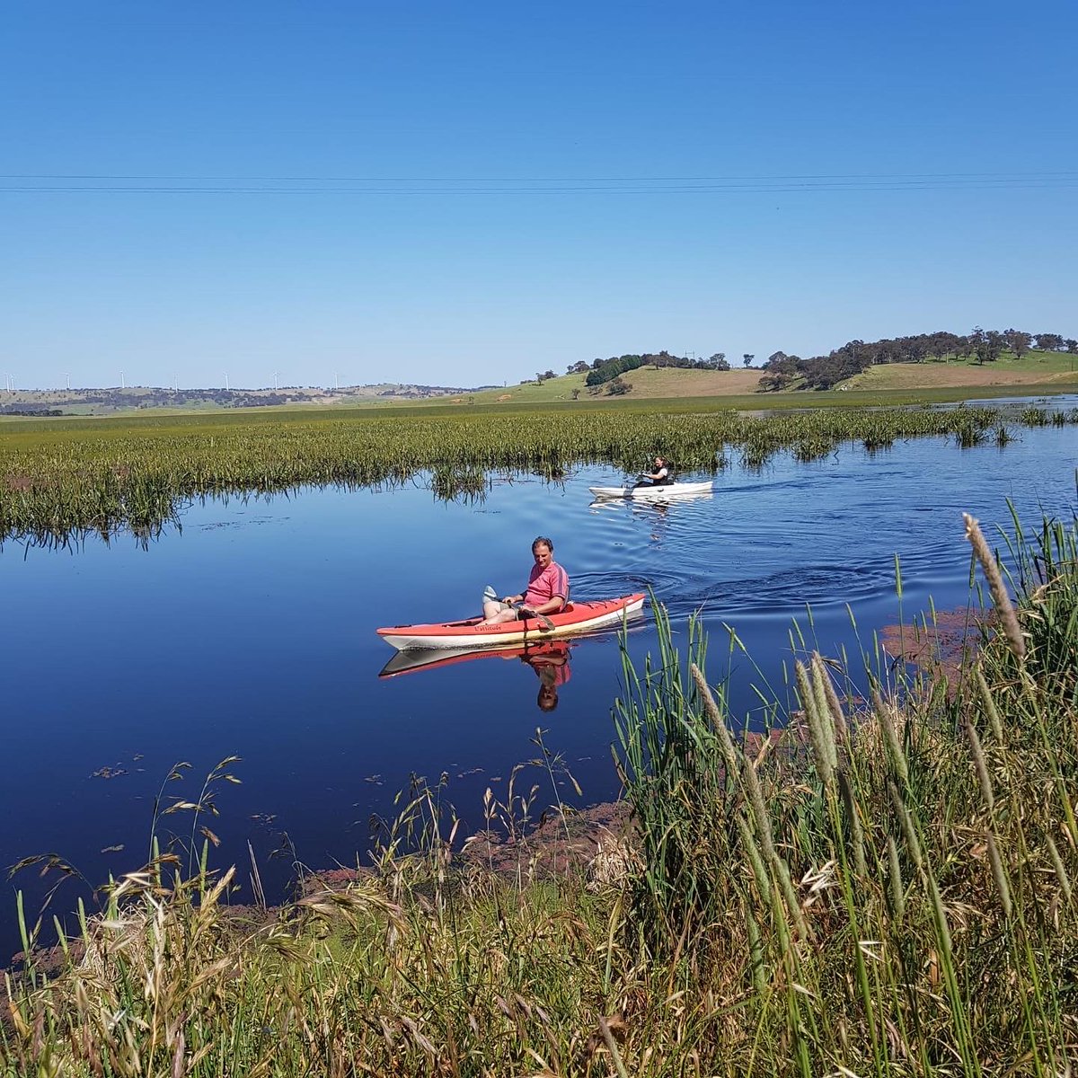 ConnectivityC's tweet photo. Early morning paddle on the #Breadalbane wet lagoon in Beautiful #Ngunnawal country - So much water &amp; absolutely teeming with life. https://t.co/EaJtpLov3s