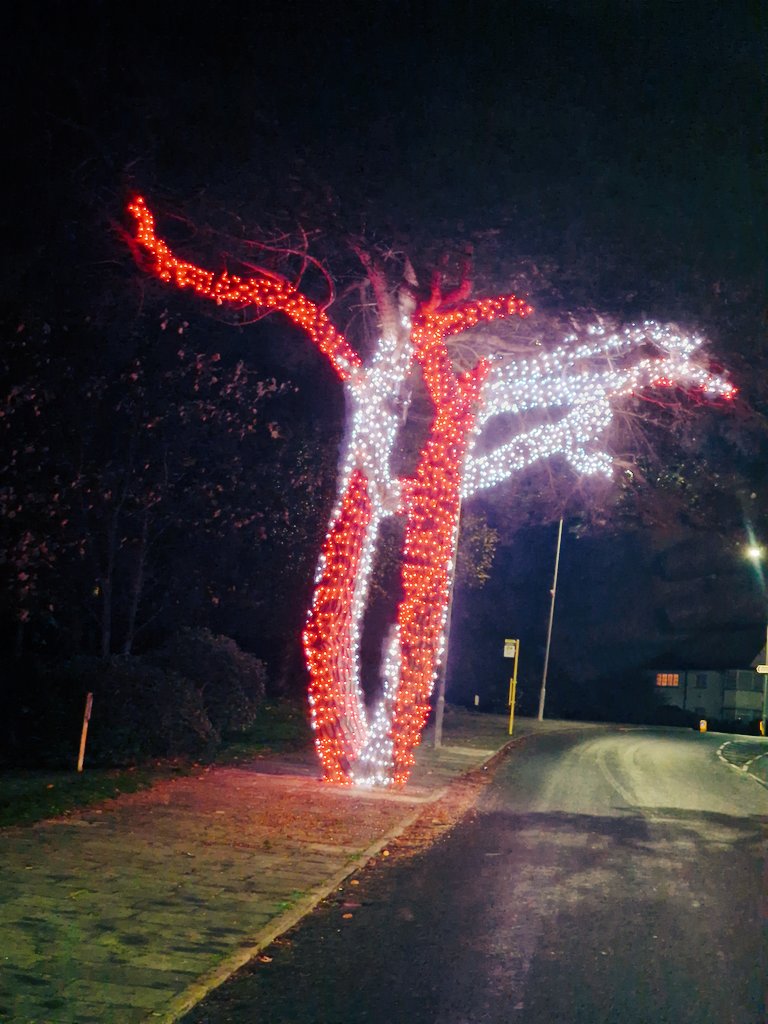 N0TINSERVICE's tweet image. My favourite tree 😍 
Only seen on the way back to the depot 
#notinservice 😉
#TreeClub