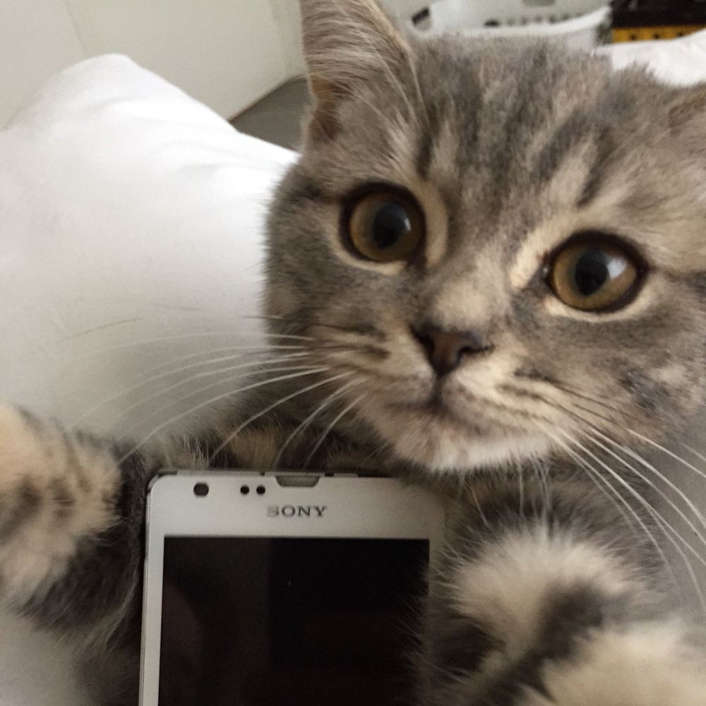 yeonjun & eunchae 🐈 (@9906catz) on Twitter photo 