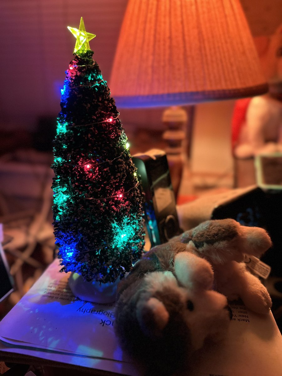 TheMexyWolf's tweet photo. #TreeIsUp. lol https://t.co/SzSEvfvt6c