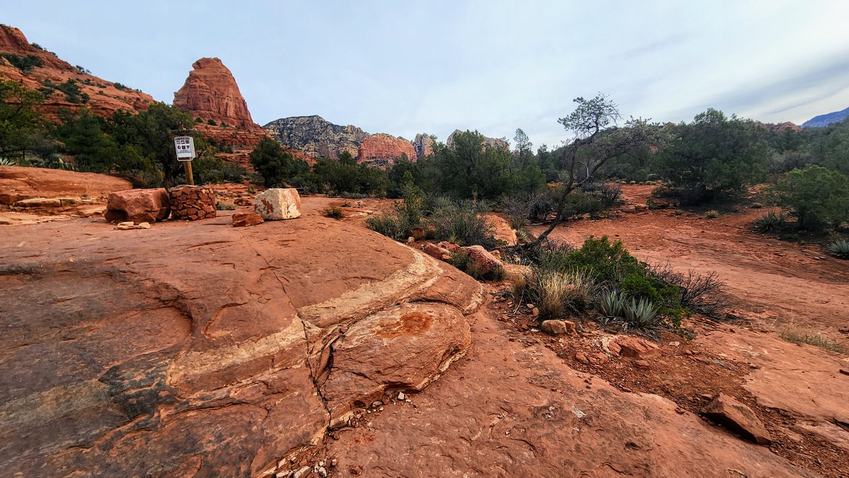 arch310635's tweet photo. I can't stop wanting to climb and jump. It is a good thing while I am in Sedona, but when I am back in my highrise apt in the city. I can only climb stairs; 
#Monkey #Climbing #Jumping #Highrise #Apartment #SoldierPass #Sedonatrial #Stairs #Trialhead #Hiking https://t.co/pUJnFk6C5D