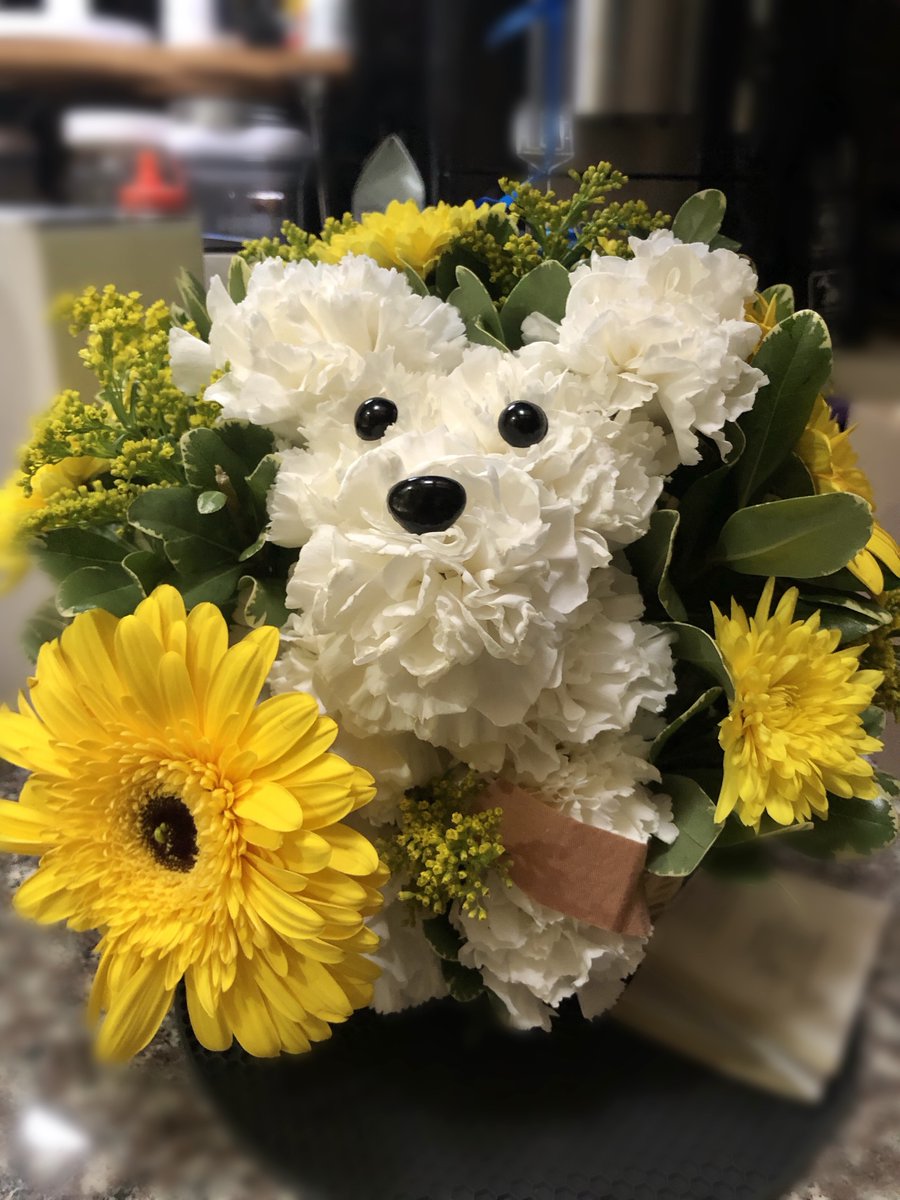 IamDaisyMae2's tweet photo. Had foot surgery yesterday, &amp; my BFF sent these flowers. The doggie even has a bandaged foot!  #bff #doggieflowers #flowerama https://t.co/TNLzi1jJb3