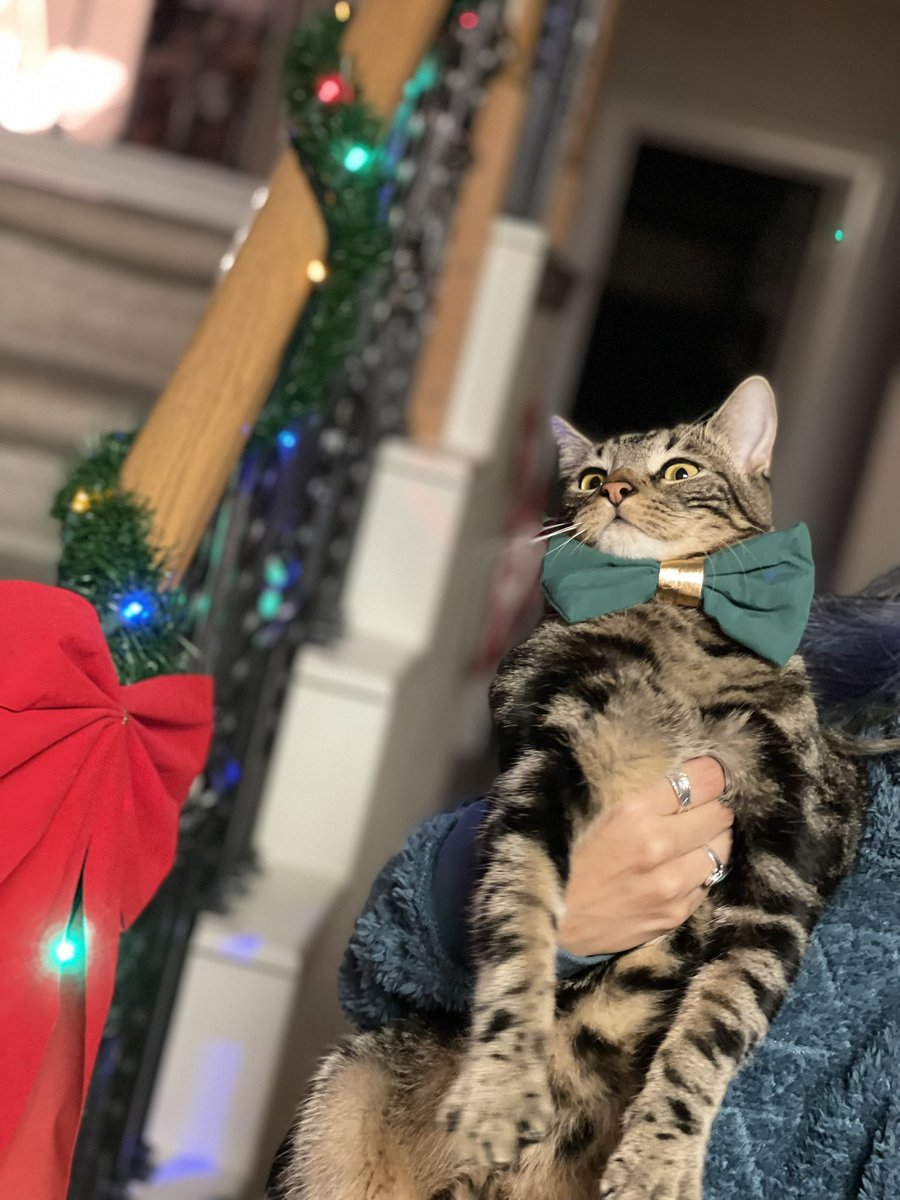Adriannaa_rae's tweet photo. 🎄Christmas Cutie 🎄 https://t.co/ZcF1Nvs94n