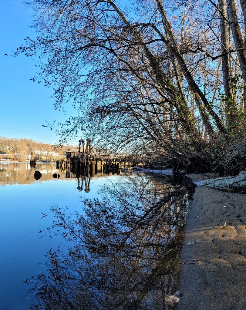 LANMonkeyGC's tweet photo. A peaceful moment along the Fraser River this morning as we picked up a #geocache puzzle find. 😍
Has #geocaching taken you to a beautiful secret spot?
.
#geocachingadventures #getoutside #metrovancouver #fraserriver @geocaching @lanmonkeygc #goexplor… https://t.co/LX3yzQsbYm https://t.co/nr8v1cUeXl