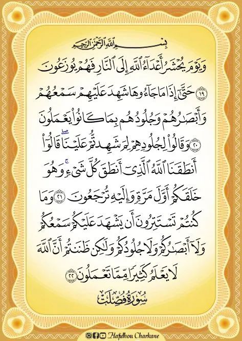 DR Ashraf Fayez (@drashraffayez1) on Twitter photo 