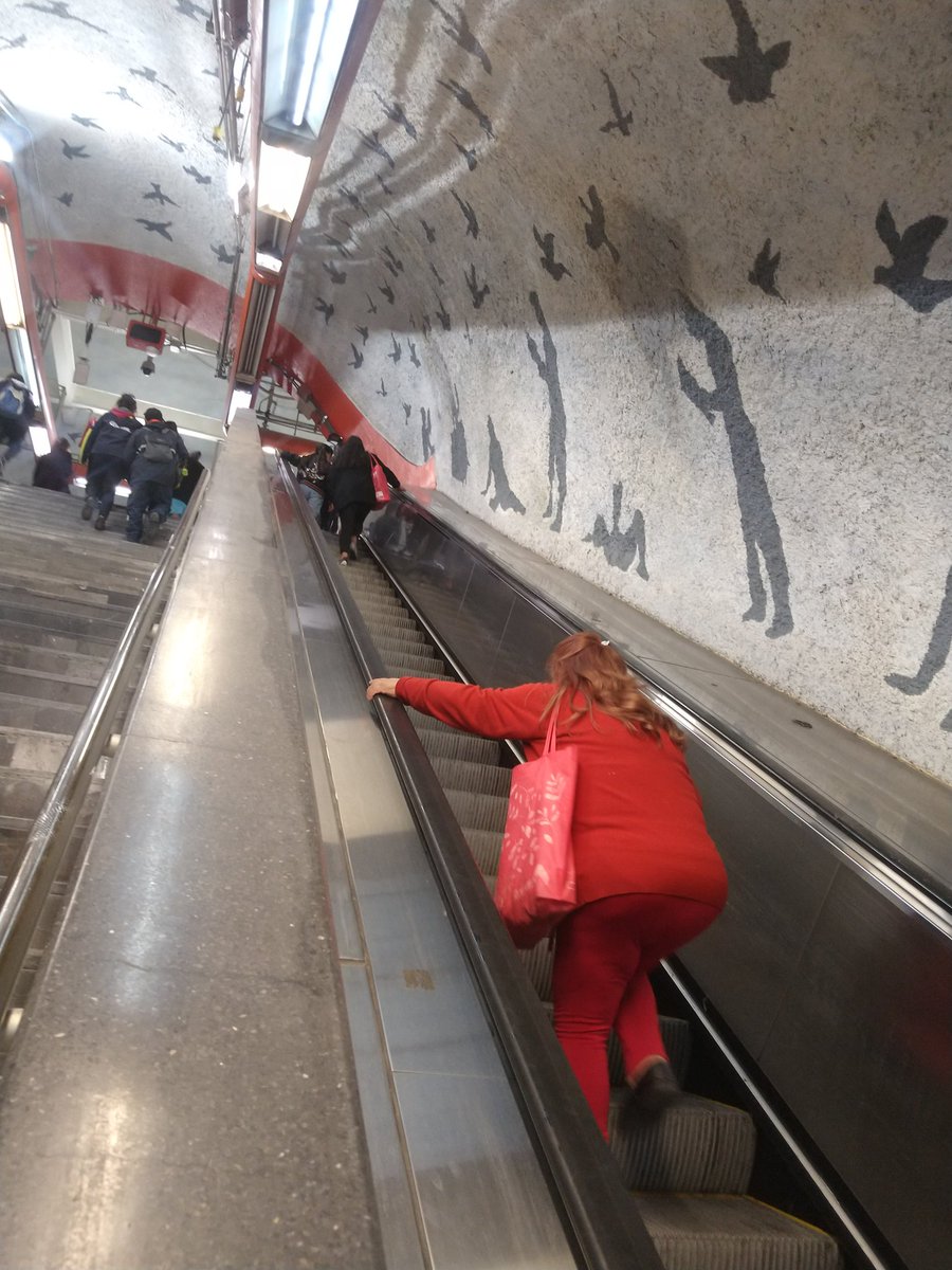 KatyaPalatto's tweet image. Cada vez me da más coraje que en la CdMx las cosas estén tan mal...hoy utilicé el STC Metro, llegué a la estación Mixcoac, y ninguna de las escaleras eléctricas para subir funcionaba...el usuario me dijo qué bueno que lo va a mostrar! @Claudiashein @MetroCDMX