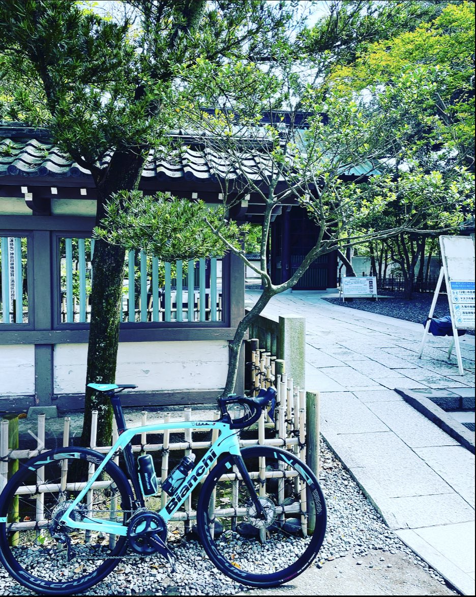 国道134号の最新通行止情報 今日現在・リアルタイム情報｜ナウティス