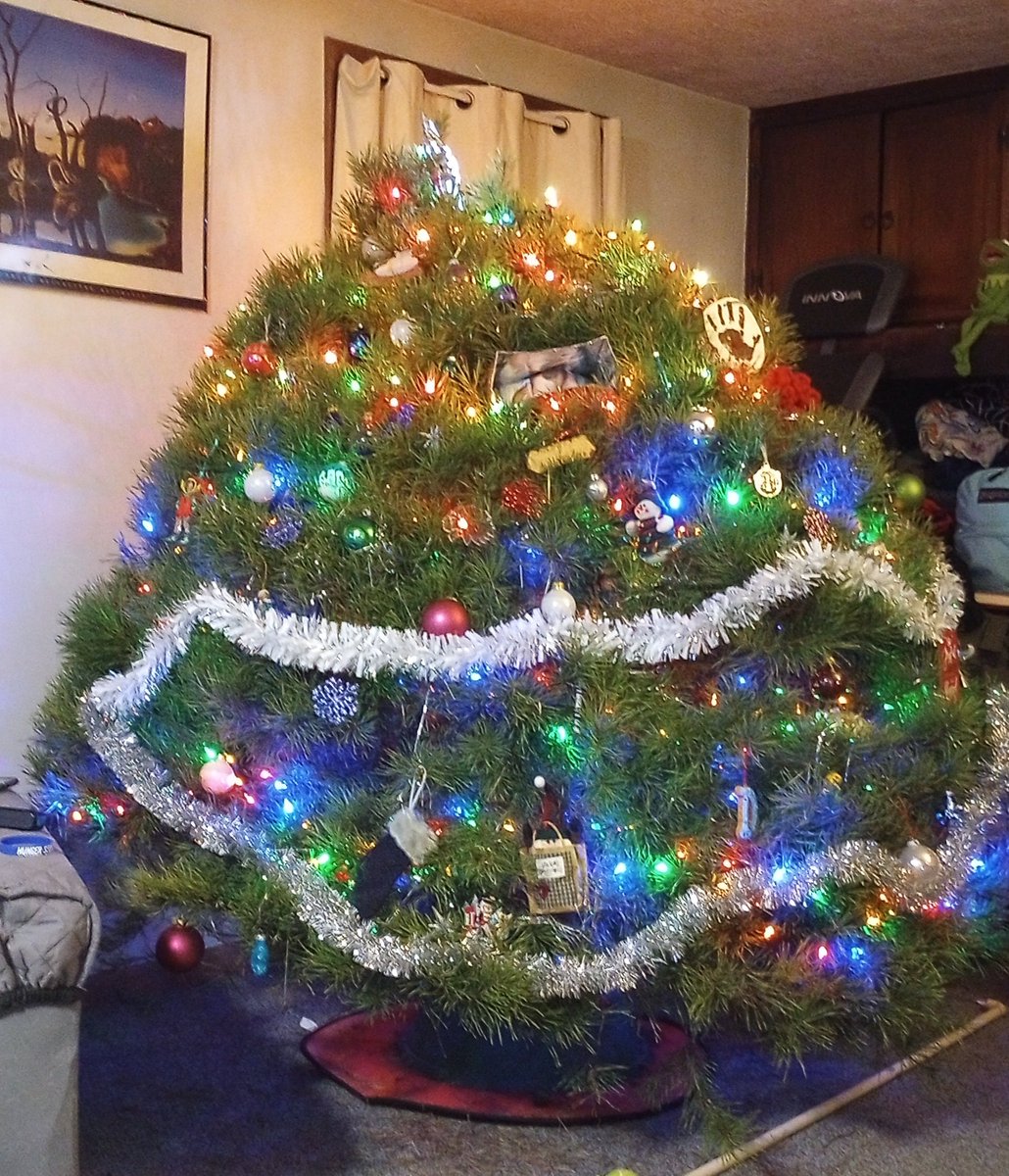 We got the thickest tree in the world this year 😂🌲 She's amazing!