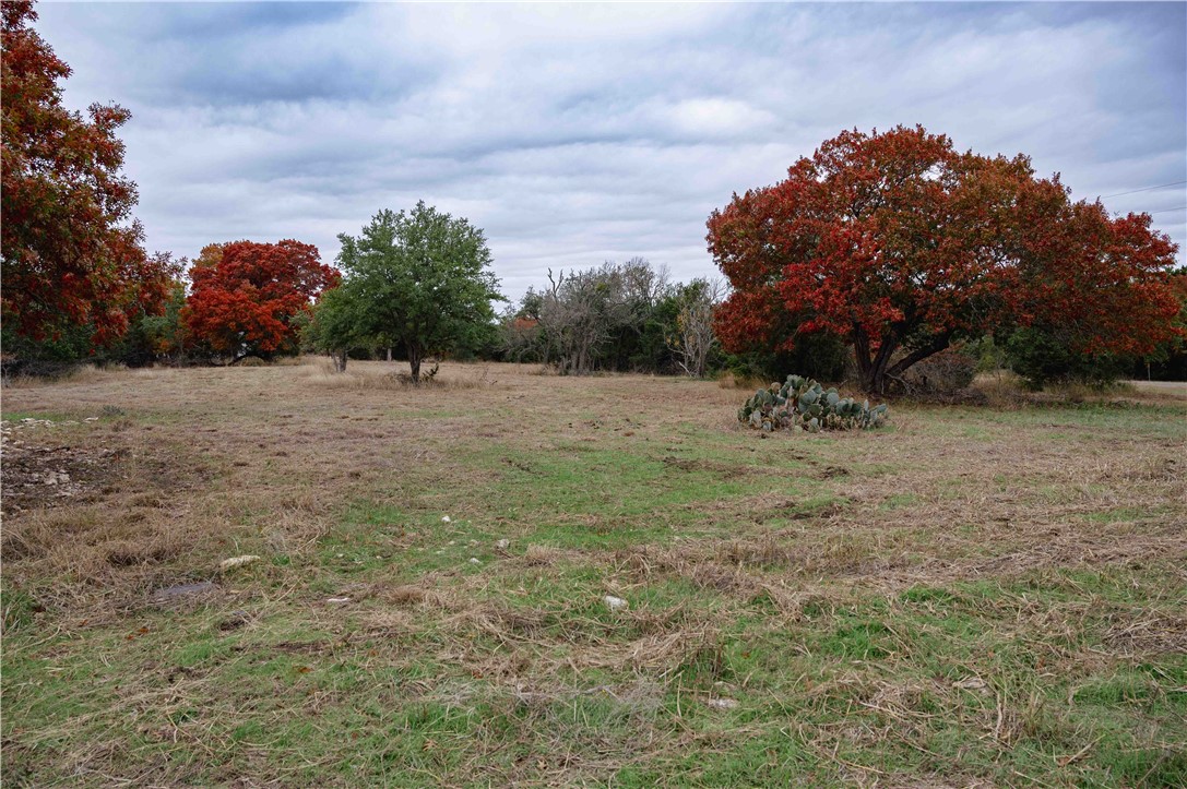 AGeorgeTX's tweet photo. Check out my newest listing in #Moody! Tell me what you think!  #realestate https://t.co/dEZ82K9kaN https://t.co/wk6xyDhiod