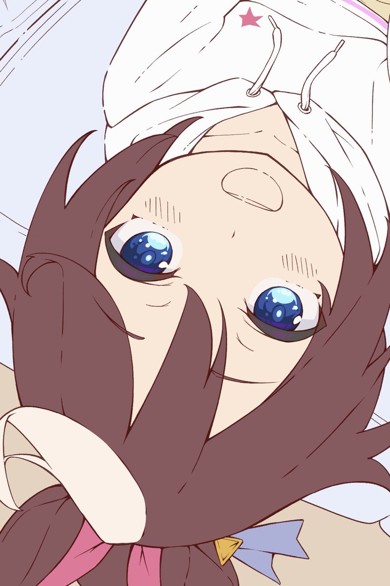 tokai teio (umamusume) 1girl solo blue eyes brown hair horse ears hoodie animal ears  illustration images