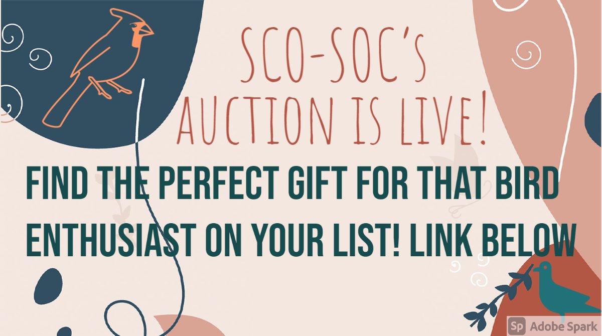 SCO_SOC's tweet photo. Many items go without bids so far in our annual fundraising auction 😭! So those workshops and works of art alike can be yours if you simply place a bid here! https://t.co/ksonpLTGsT https://t.co/0LXiJLJm9W