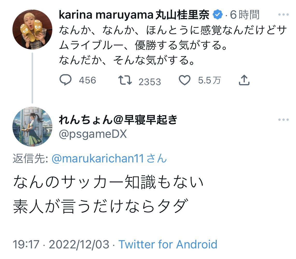 丸山桂里奈 素人
