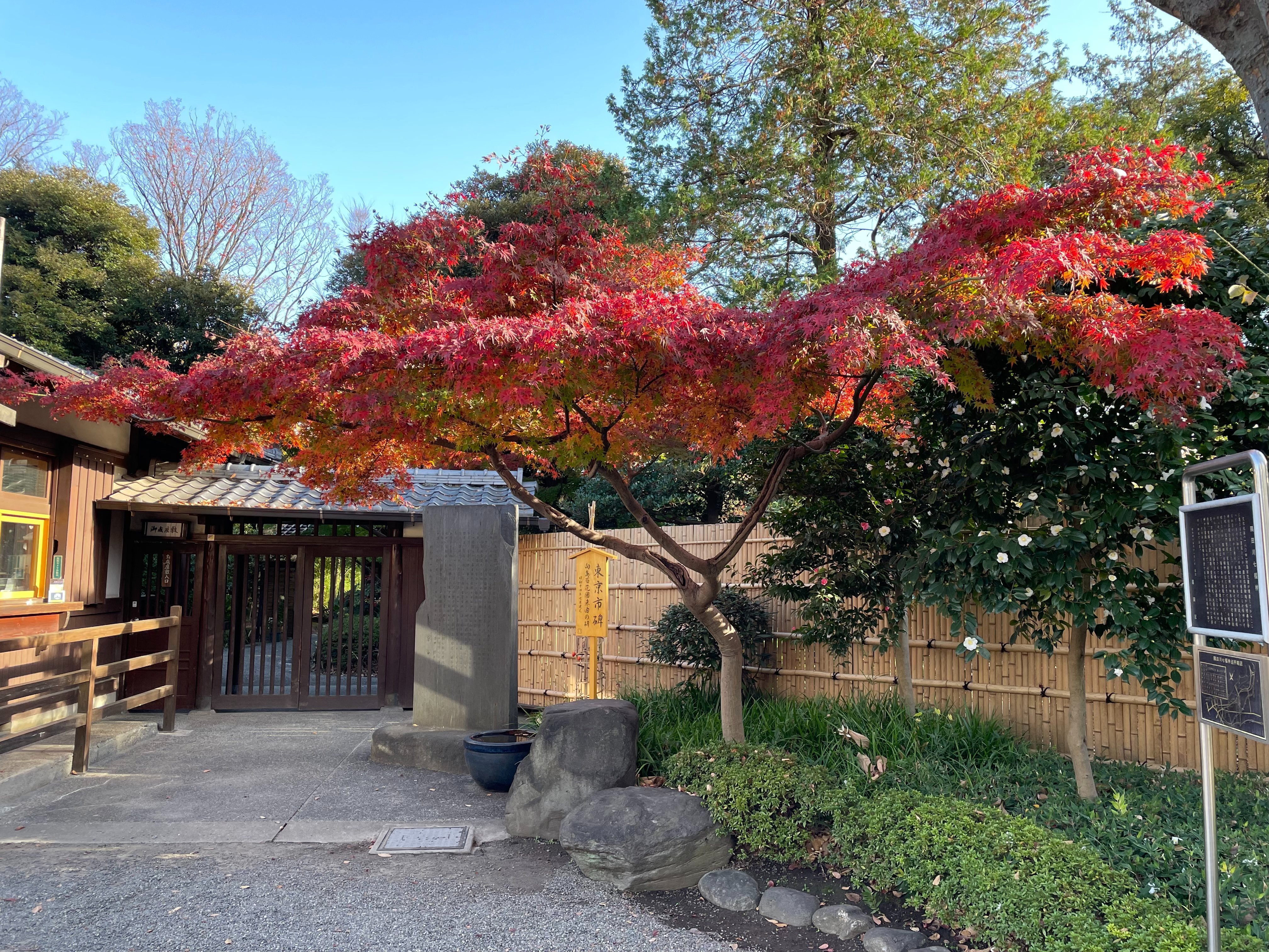 向島百花園 Mukoujimagarden Twitter