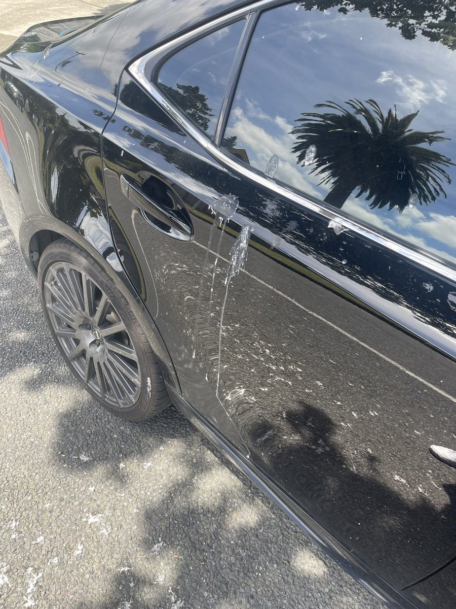 TwitNinja tweet media