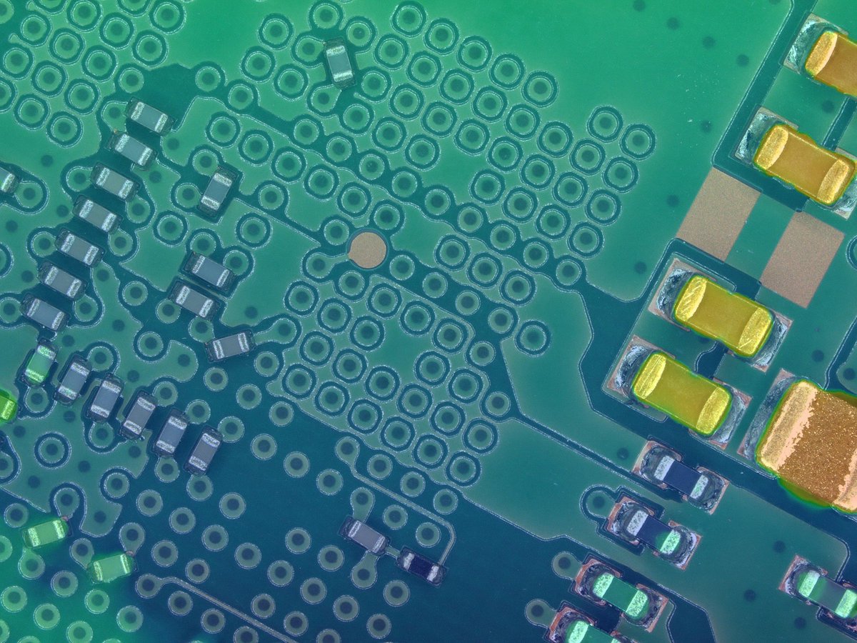 SeaLabLab's tweet image. Pic of the day: