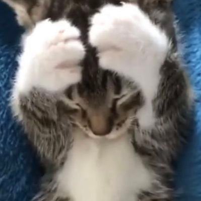 whotfisjovana's tweet photo. nooooo stop the intrusive thoughts https://t.co/fRuJy0QuPx