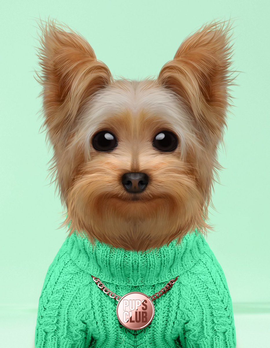makky77773's tweet photo. Pupsclub × マッキー

ホルダーとペット愛好家のための『プライベートWeb3コミュニティ』を構築する、今までに無いNFT PJ🌈
ペット飼ってる方は必見！！！

貴重なWLを『20枠』 #giveaway 

🟢フォロー
　@pupsclub 
　@makky77773 

🟢❤️ &amp; リツ

公式Discordはホルダー限定で解放！
More Chance👇 https://t.co/qCnacqyWo2