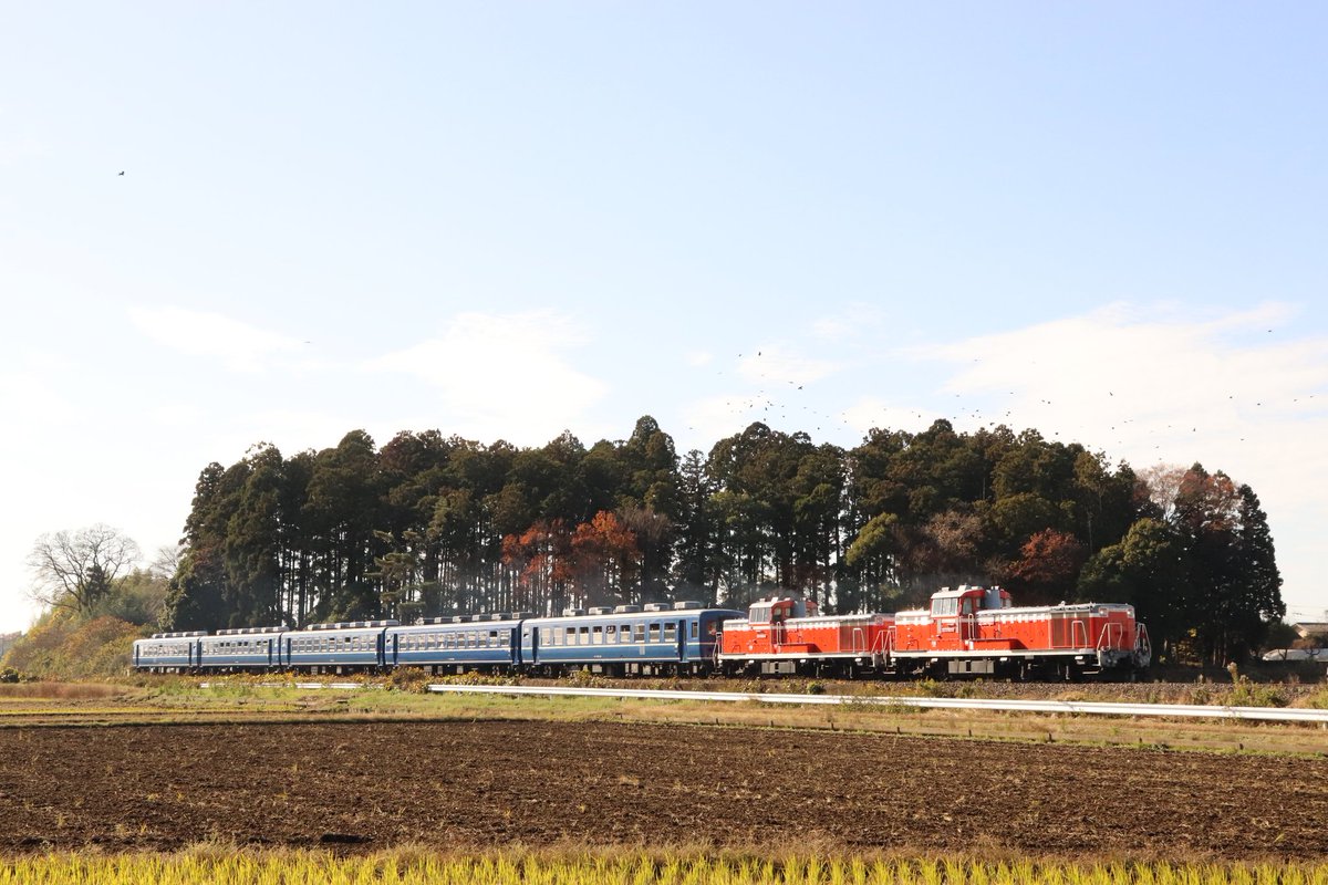 DLすいぐん号
後台-下菅谷間定時です。