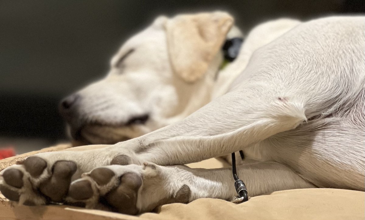 My god that’s a lot of toe.