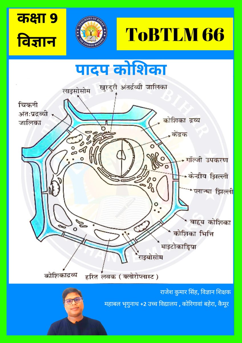 teachersofbihar's tweet photo. ➡️ विज्ञान कॉर्नर
➡️ प्रश्नोत्तरी
#ToBTLM #Science https://t.co/b0BTroIJTM