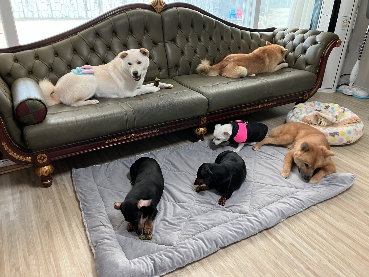 행복한 간식 시간 ☺️