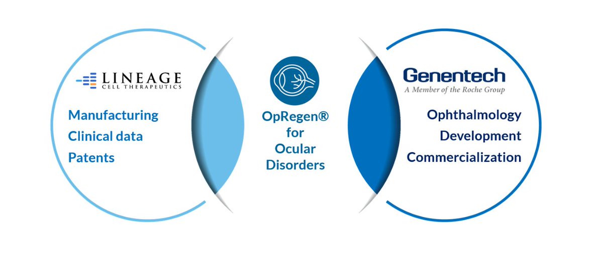 RetinaToday's tweet photo. JUST IN: @LineageCell Therapeutics announced that its partner @genentech has launched a phase 2a, multicenter, open-label, single arm clinical study of RG6501 (OpRegen), a retinal pigment #epithelialcell therapy. #geographicatrophy #AMD https://t.co/RJYeHgIcEP https://t.co/MM6FtJggwr
