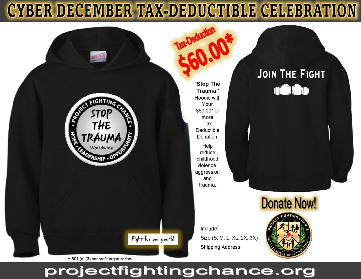 Great year-end tax deduction with amazing youth video. Support community. Help reduce childhood violence, aggression and trauma. projectfightingchance.org