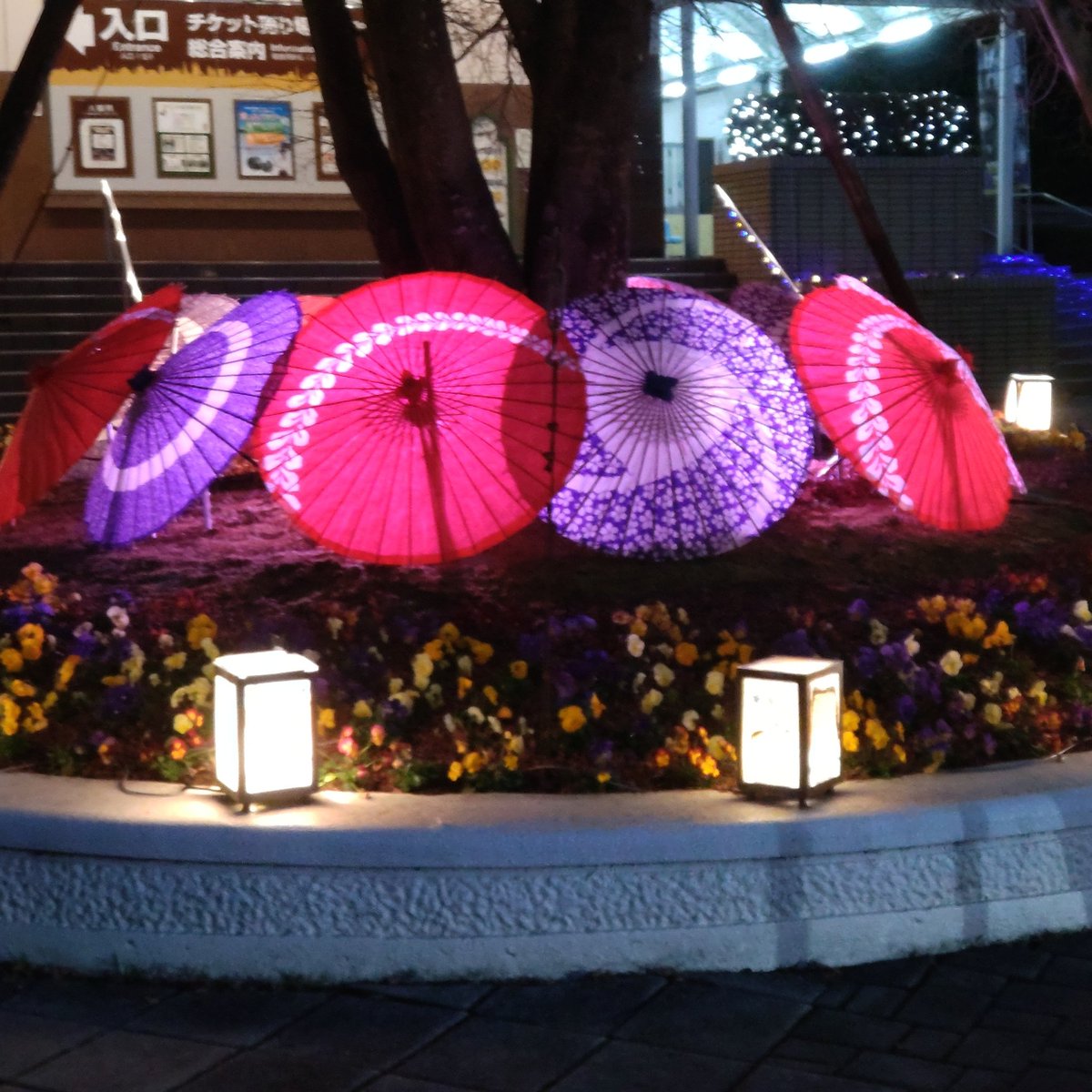 #新しいプロフィール画像