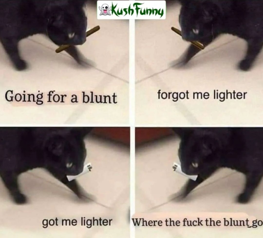 GuchiGeek27's tweet photo. Me asf:
#420Problems #Smokers #DazedandConfused #cannabislife #Potheads https://t.co/0eWzSaUHC1