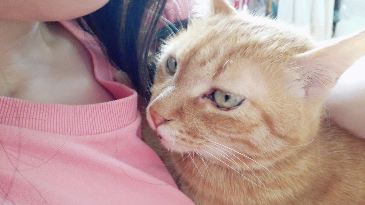 kako33316816's tweet photo. ♡YouTube
https://t.co/91APzvIQWe
チャンネル登録よろしくお願い致し��す(*ơᴗơ)

♡挨拶
☀→こんかこ
🌙→ばんかこ
( ˘꒳˘)💤→おつかこ

♡タグ
🌸#桜衣かこ
🍗#ちゃんかこに生ハム報告
🖌#かこあーと
🐈🐈‍⬛#ちびチョコ

♡ほしい物リスト
https://t.co/k9Xyeu55pM https://t.co/6oDenMDPvI