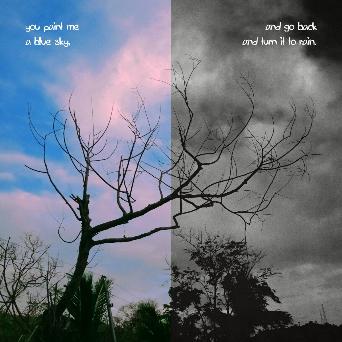 study_w_bee's tweet image. 🖼️🎶 - 🌲 - 👧📸