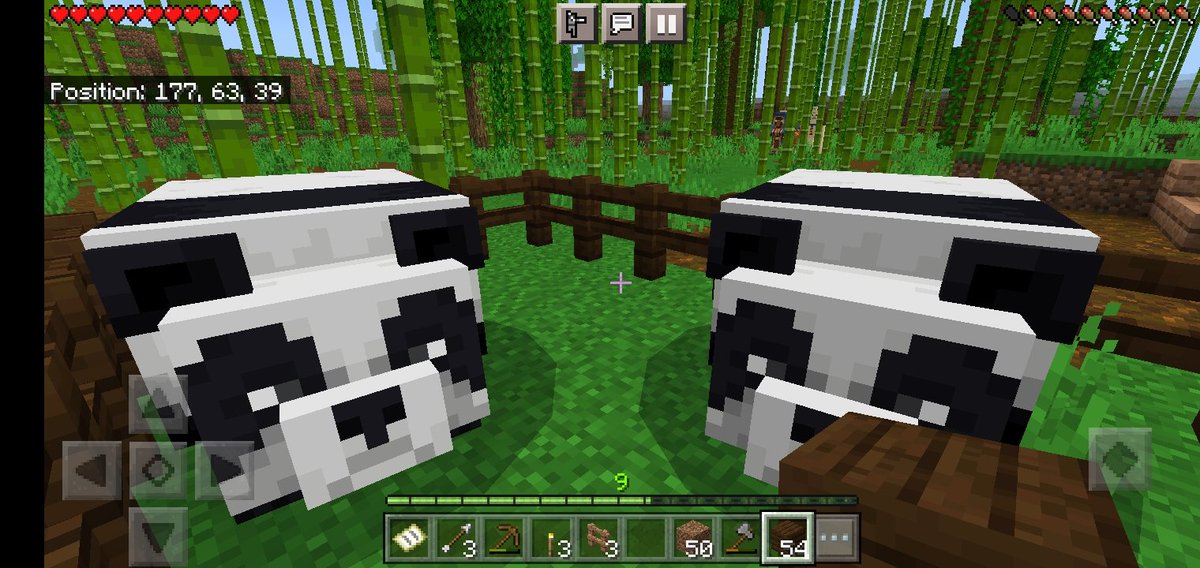 Stormywolfy09's tweet image. Is am I in heaven #Minecraft #Minecraftpanda #wolfpal