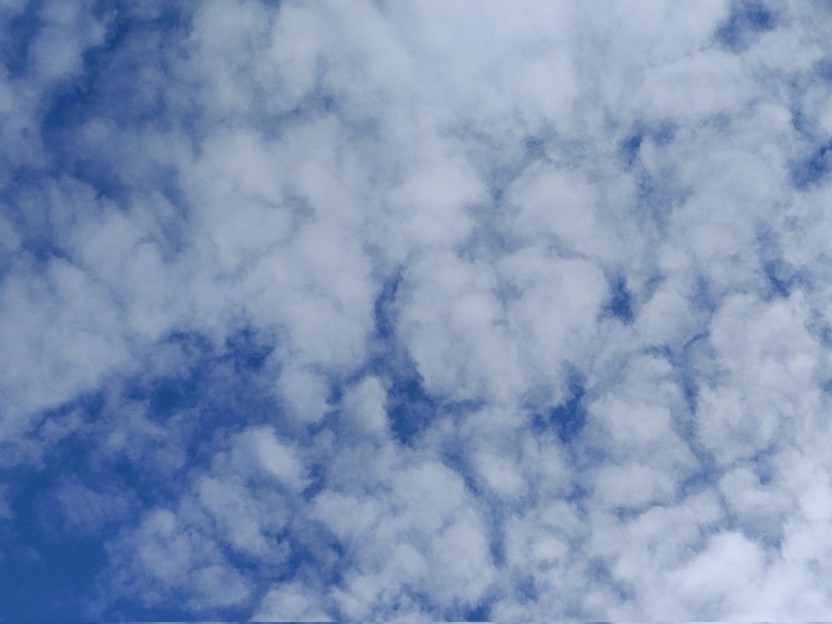 「ちょっと、気晴らし 空とソイラテと*⸜(* ॑꒳ ॑* )⸝*ワンダホォォォォイ」|風間ゆき海のイラスト