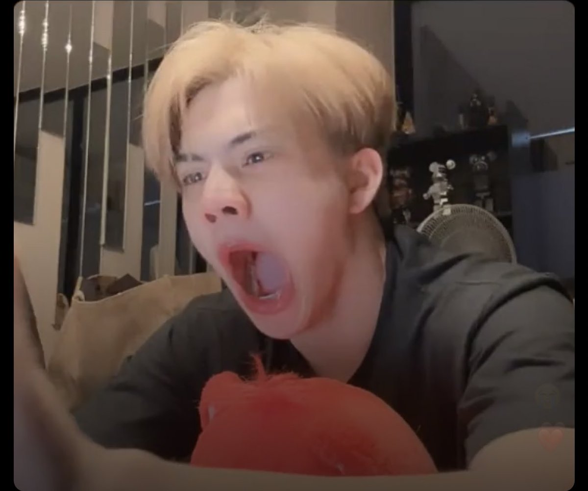 ㅋᩚᑎᑎᑎ ◡̎ ᑎᑎᎥᗴㅋᩚ tweet media