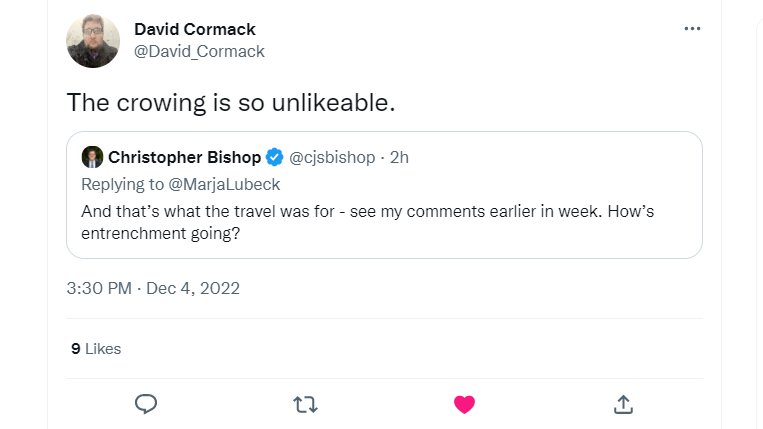 Foxy Cubist Artist tweet media