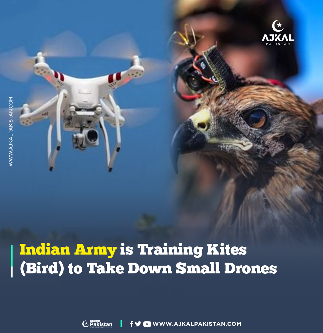AjkalPakistan's tweet image. Indian Army is Training Kites (Bird) to Take Down
Small Drones: Ajkal Pakistan

#IndianArmy #TrainingKites #SmallDrones #ajkalpakistan