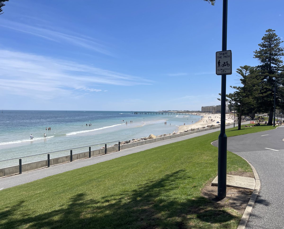 dweedification's tweet image. beach walks + iced lattes + fave podcast 🎧