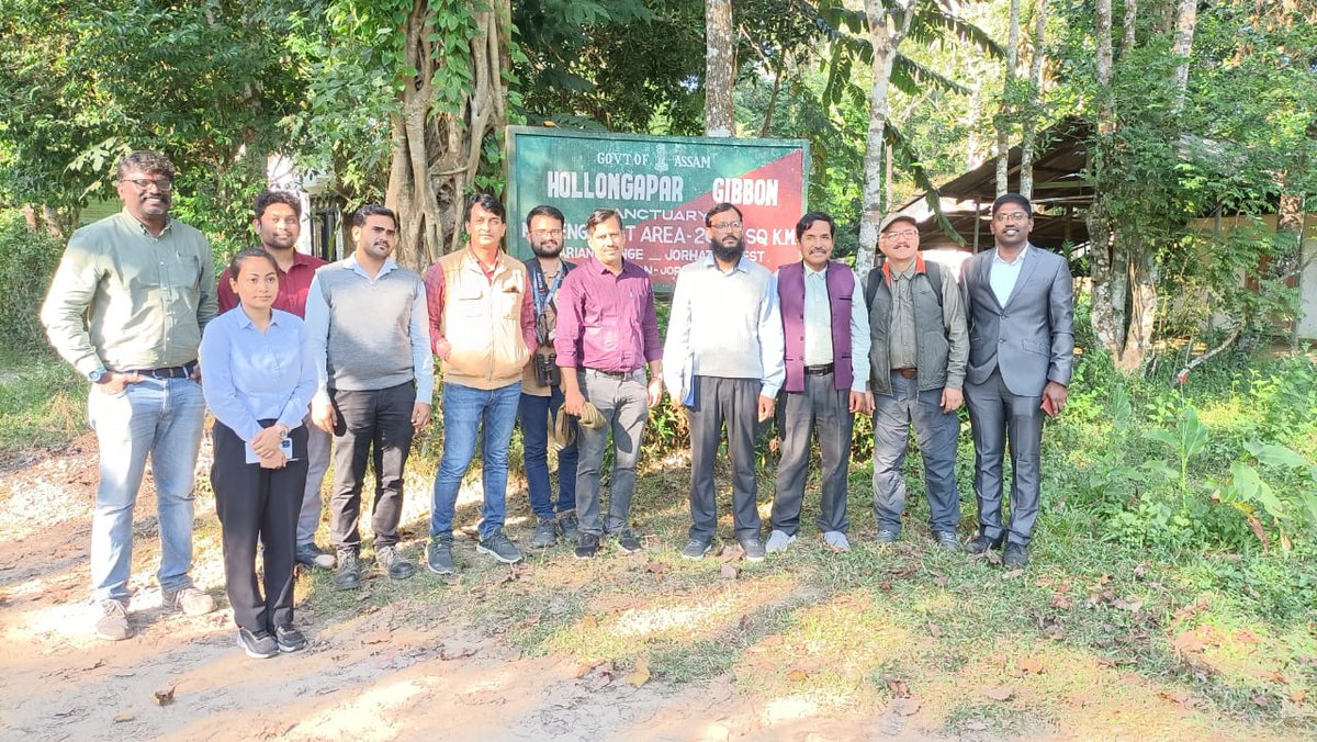 DFO Jorhat (T) Division tweet media