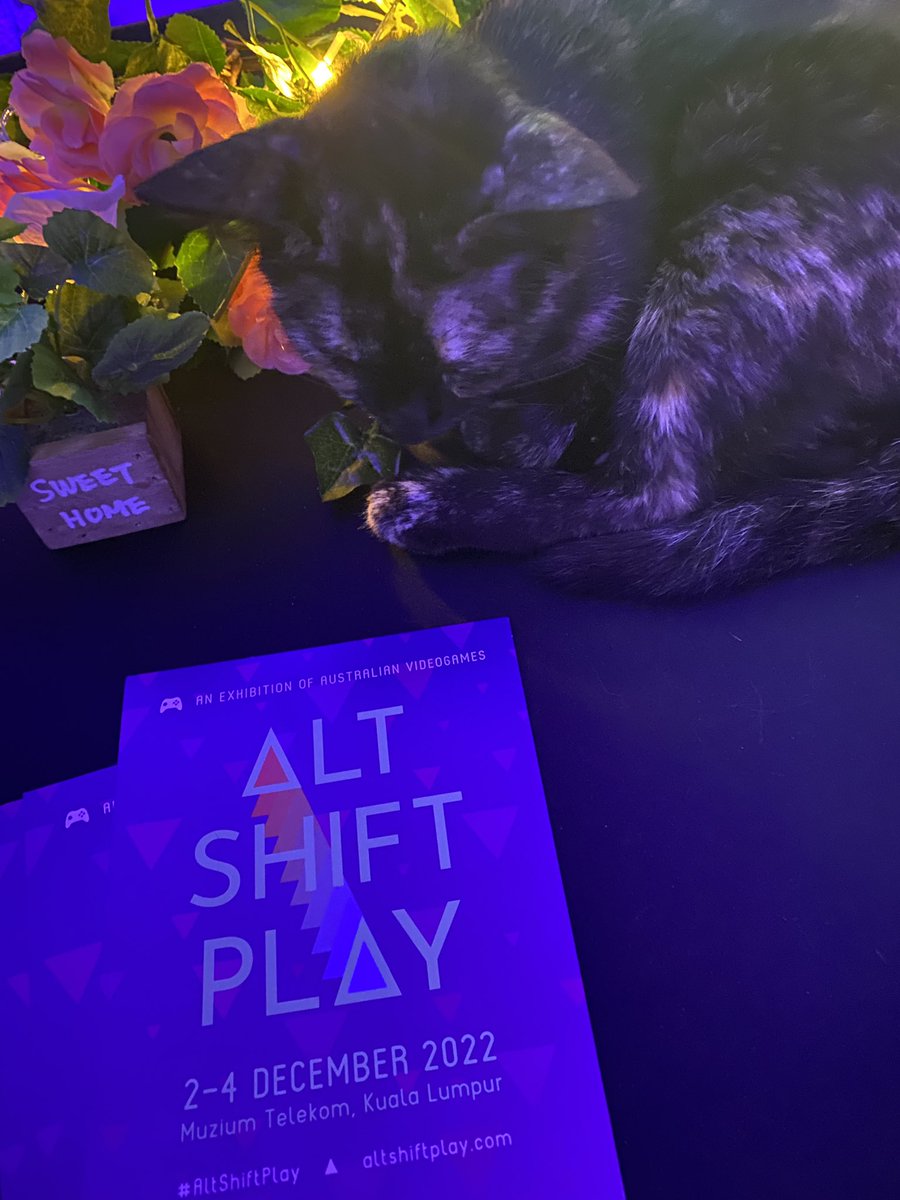 studioanisa's tweet photo. But also this is the most Malaysian thing ever: stray cat claims one of the booth and is now exhibition cat 💖💖💖 #AltShiftPlay https://t.co/2B1vBLzVYb