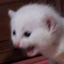 dna_kayoko's tweet photo. Drawing time runner was a bad idea drawing time runner was a bad idea DRAWING TIME RUNNER WAS A BAD IDEA 
Drawing a skin was a bad idea drawing a skin was a bad idea drawing a beautiful skin was a bad ide- *gunshot* https://t.co/AgHa97hfwc