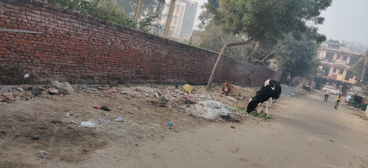 Balwantsingh_70's tweet photo. @NagarVikasUP Ward no 70 janakpuri, ghaziabad in front of Udam Singh park ,garbage collection piont @NagarVikasUP @AMRUTCityGzb @TeamTHA_ @aksharmaBharat @CMOfficeUP @Mayor_Ghaziabad https://t.co/Fln0sE66BJ