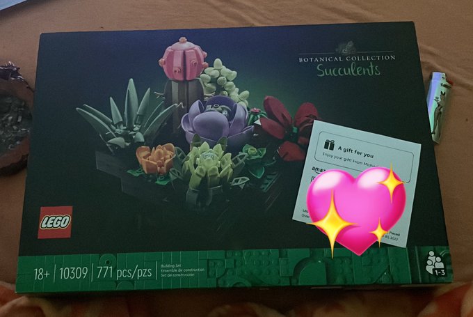a sweet snap sub of mine got me a lego set off mi wishlist ? I can’t wait to put it together!!!! https://t